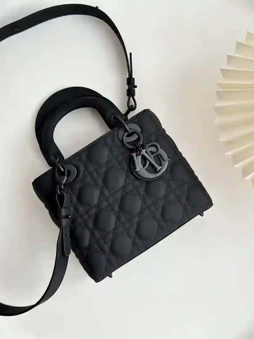 Lady Dior 스몰 백